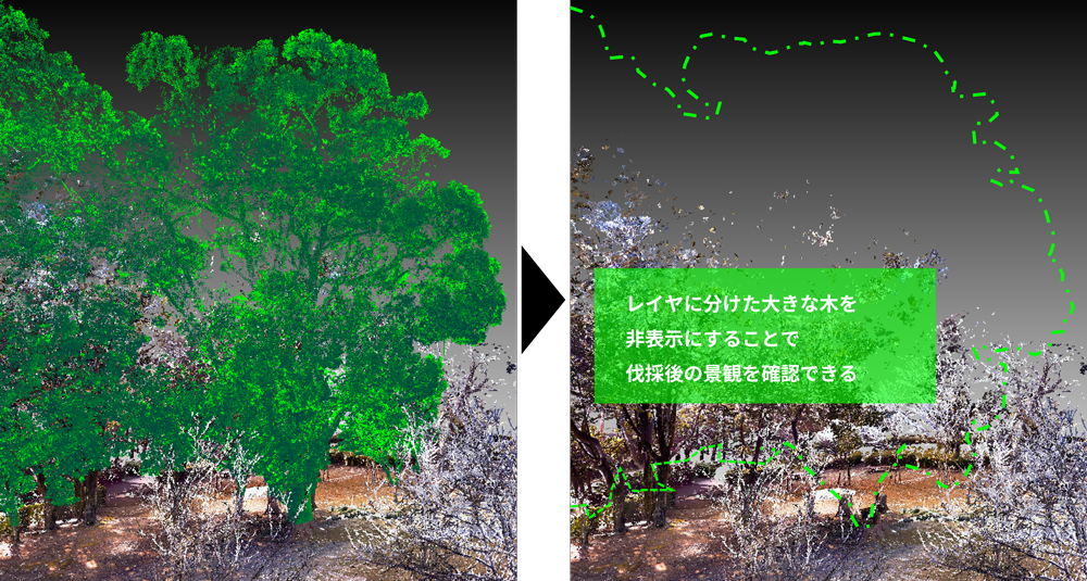 segmentation-tree_light